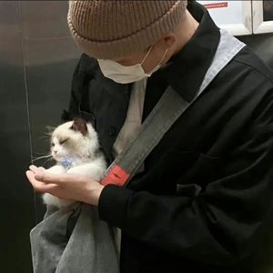 日本肥妇大毛BBBBBB
